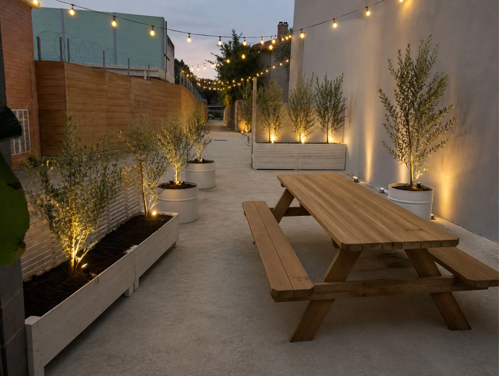Garden Area — outdoor courtyard with picnic table, olive trees and festoon lights